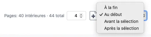 Les commandes de nombre de pages dans la barre du haut montrant les options pour ajouter des pages à la fin ou les insérer avant ou après une page sélectionnée.