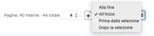 I controlli del numero di pagine nella barra superiore con le opzioni per aggiungere pagine alla fine o inserirle prima o dopo una pagina selezionata.